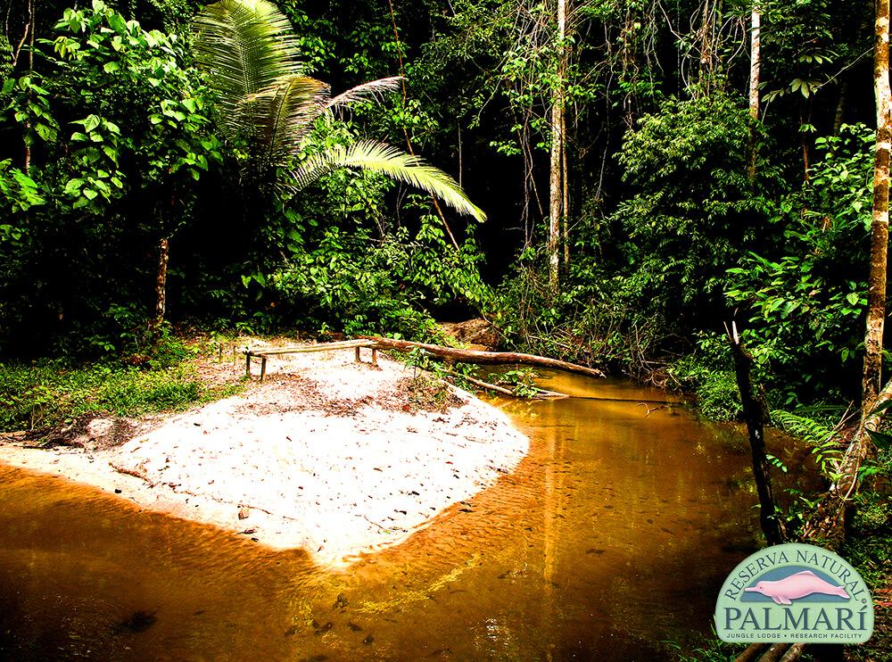 Reserva-Natural-Palmari-Activities-023