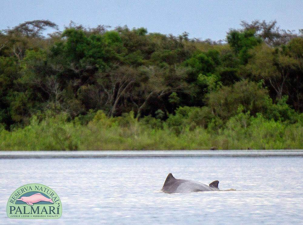 Reserva-Natural-Palmari-Activities-139