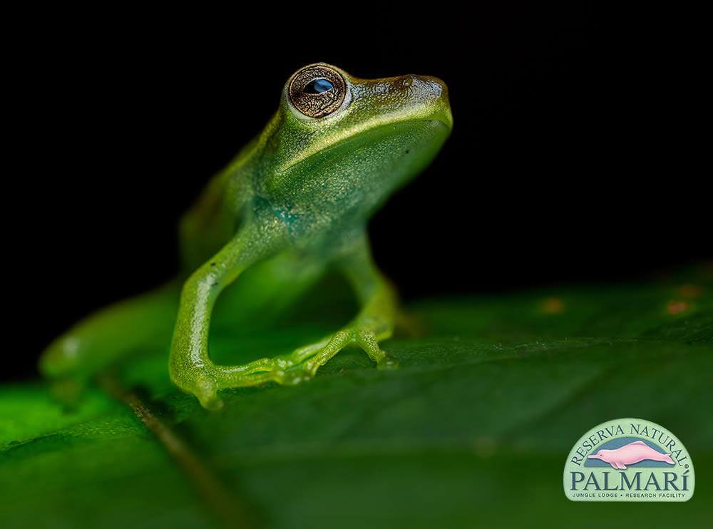 Reserva-Natural-Palmari-Fauna-091