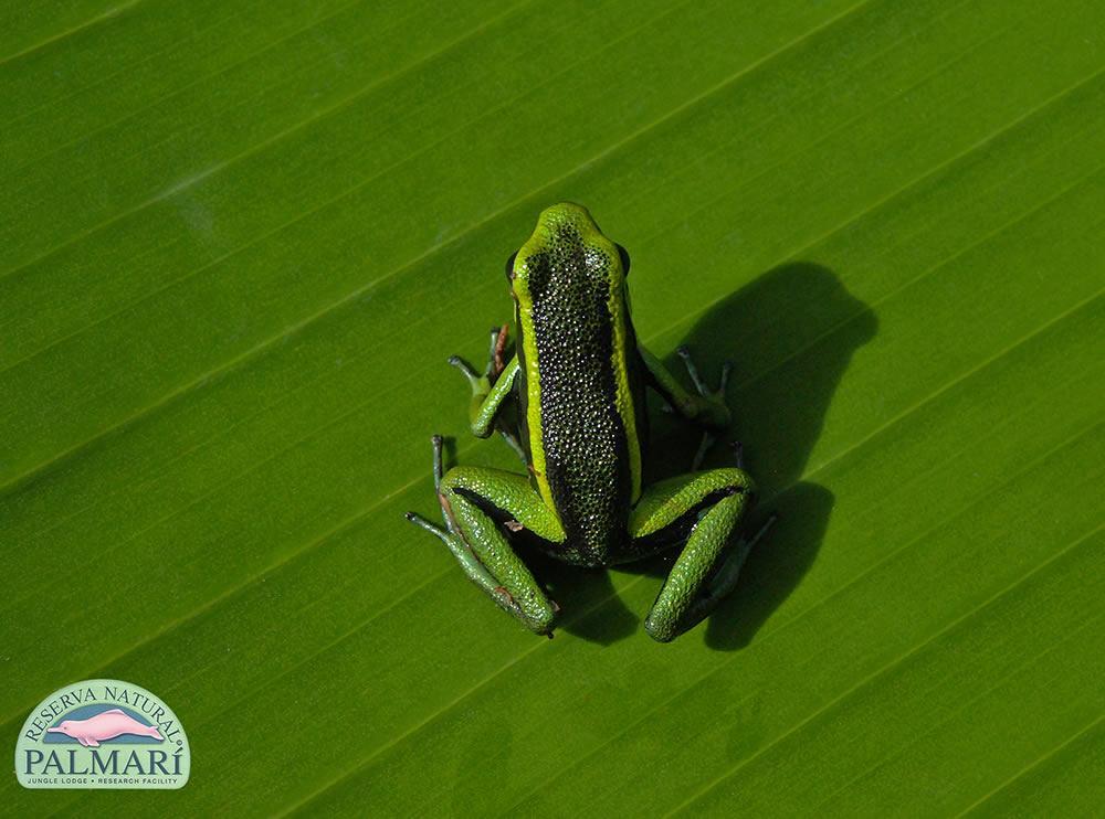 Reserva-Natural-Palmari-Fauna-098