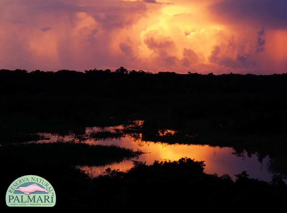 Reserva-Natural-Palmari-Landscapes-27