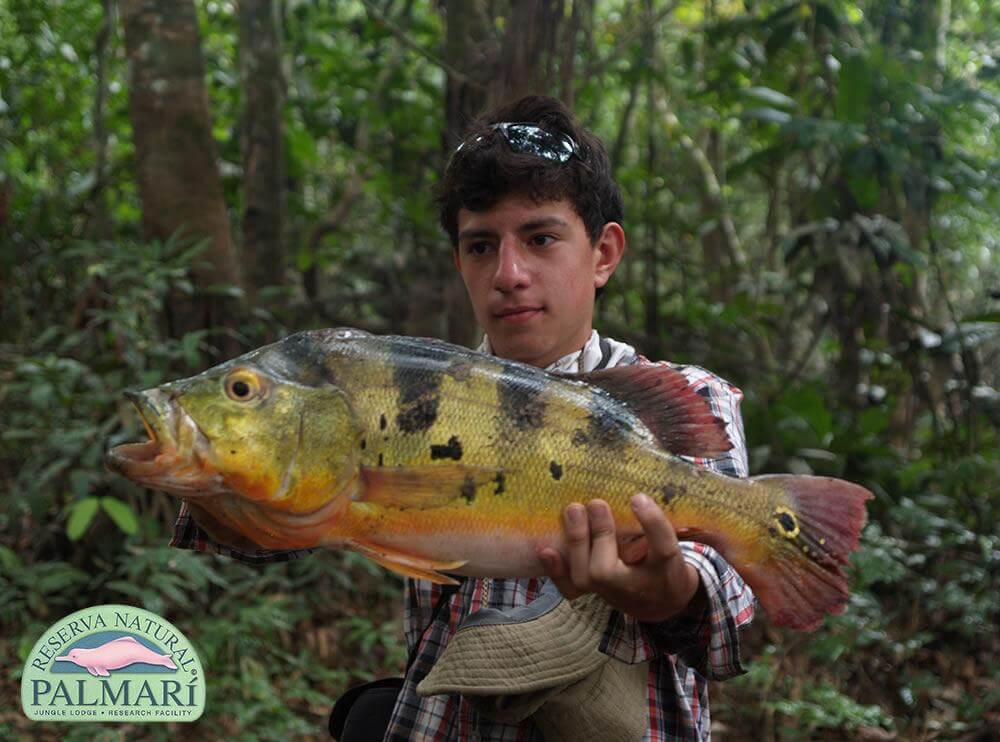 Reserva-Natural-Palmari-Sport-Fishing-15