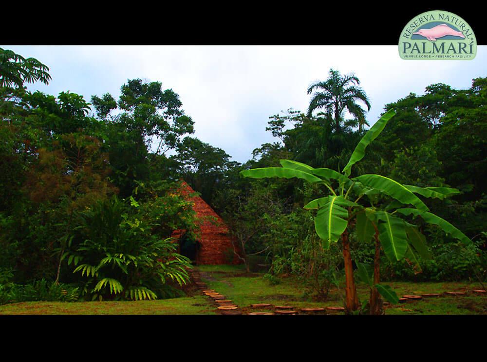 Reserva-Natural-Palmari-Visitors-Centre-09