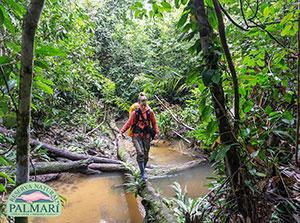 reserva natural palmari activities 142